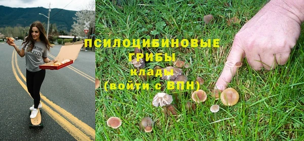 a pvp Новозыбков