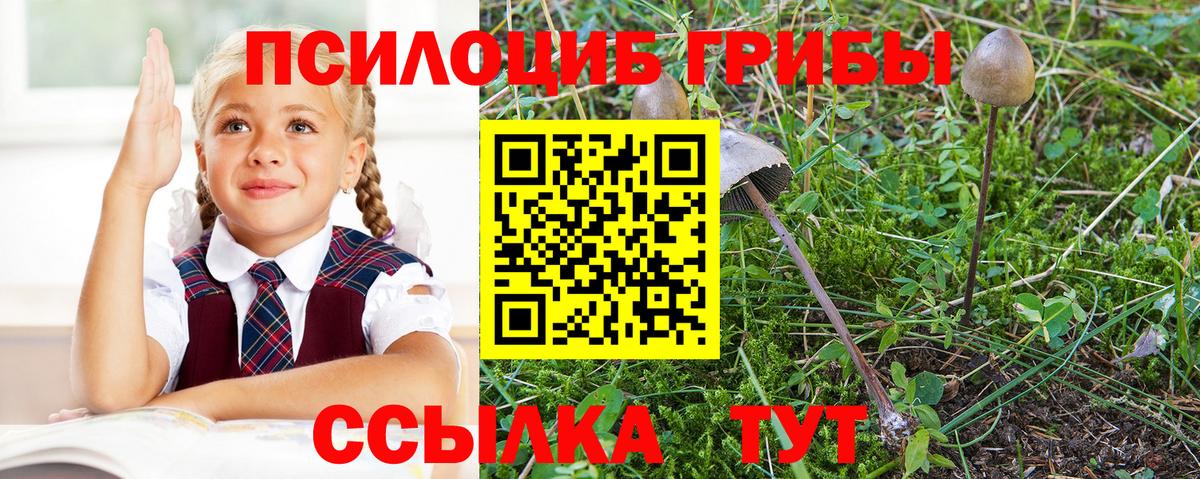 Канабис  КОКАИН  Меф МЯУ МЯУ кристаллы  Волжский  Лсд 25  ГАШ  Вход с VPN  Экстази 